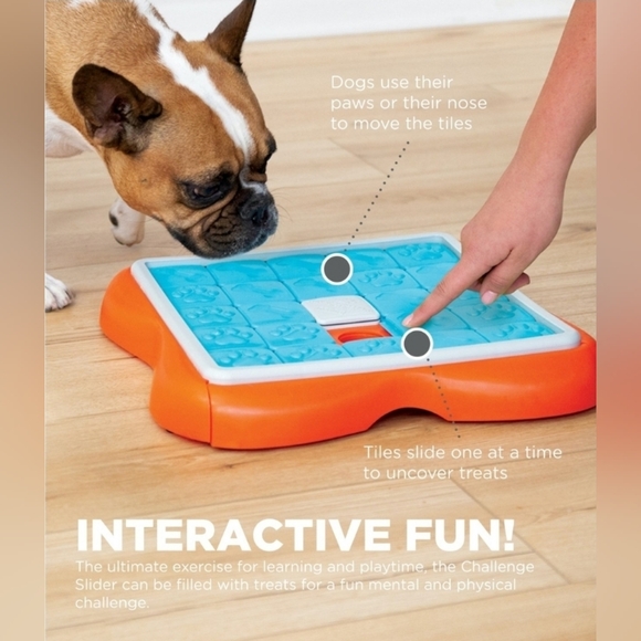 Nina Ottosen Challenge Slider Interactive Treat Puzzle Dog Toy by Outward Hound - Picture 3 of 12